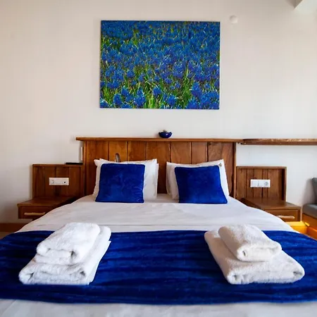 Yenice Vadi Natural Life Village Otel *