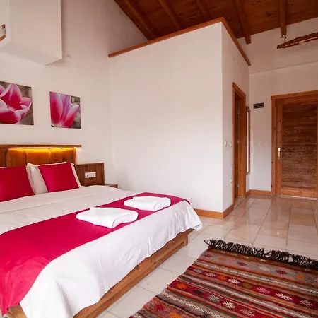 Yenice Vadi - Natural Life Village Hotel *