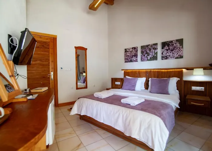 Yenice Vadi - Natural Life Village Hotel *