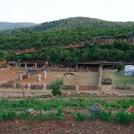 Resort Yenice Vadi - Natural Life Village Yenice (Mugla)