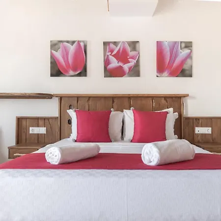 Yenice Vadi - Natural Life Village Hotel *