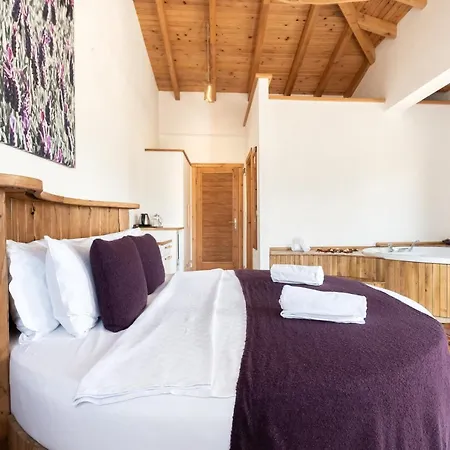 Yenice Vadi Natural Life Village *