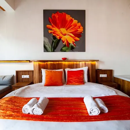 Resort Yenice Vadi - Natural Life Village *