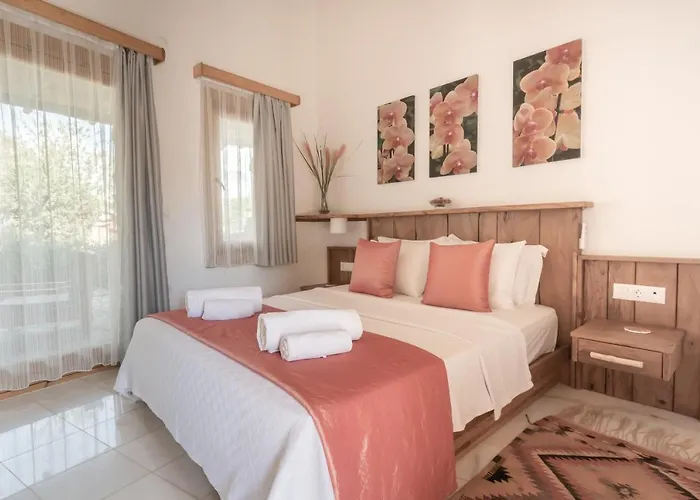 Yenice Vadi - Natural Life Village * Yenice