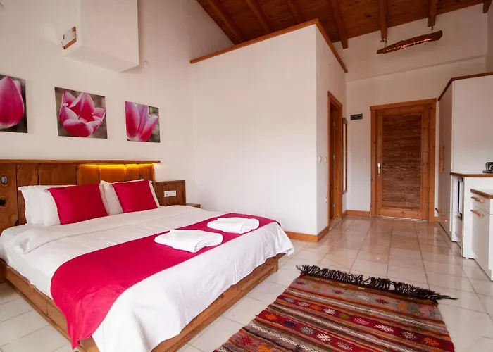 Yenice Vadi - Natural Life Village ホテル *