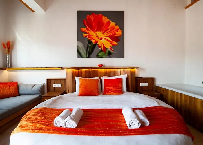ホテル Yenice Vadi - Natural Life Village *
