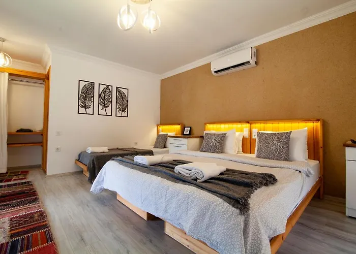 Yenice Vadi - Natural Life Village *